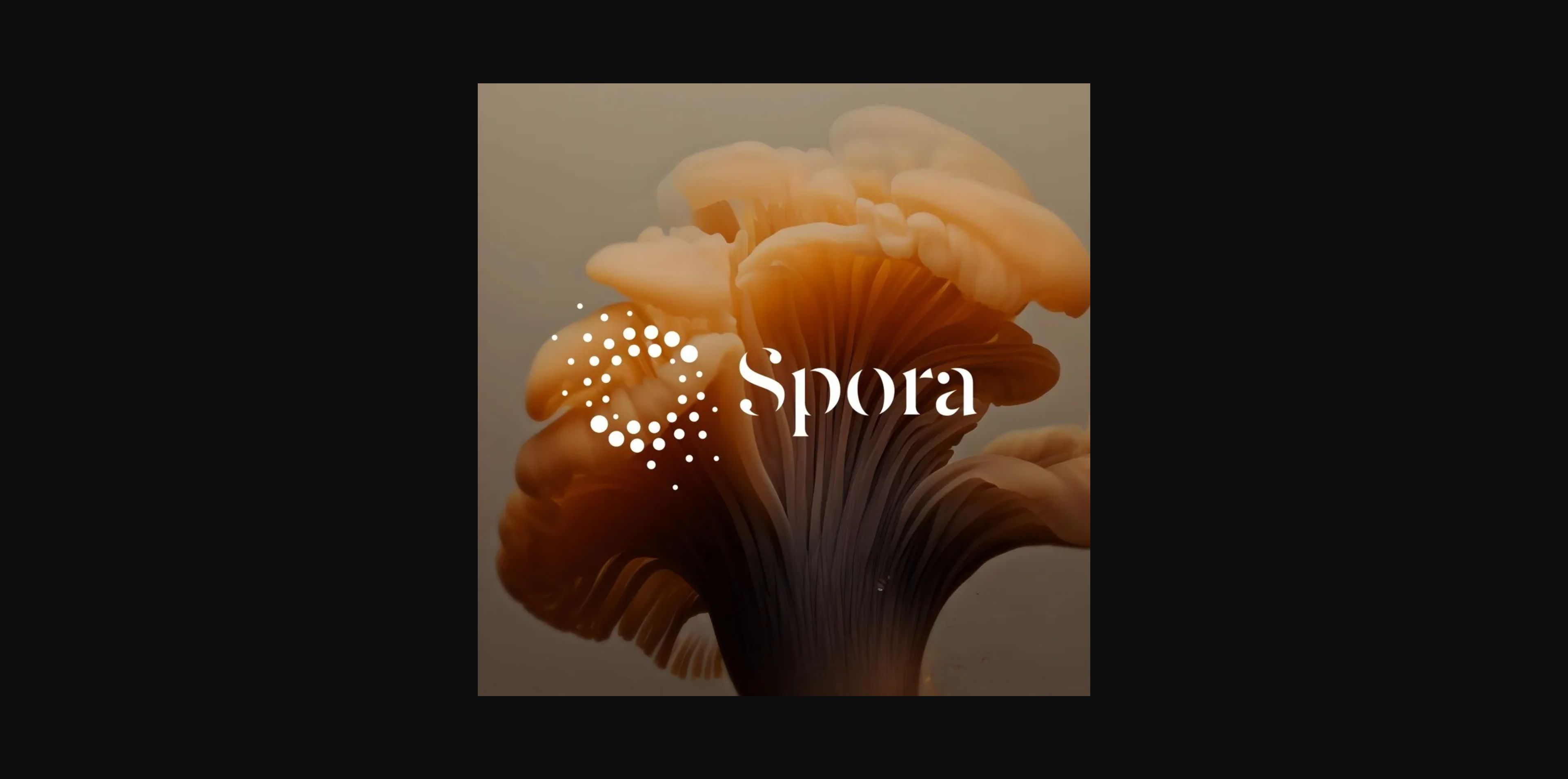 spora.webp (1000×1000)
