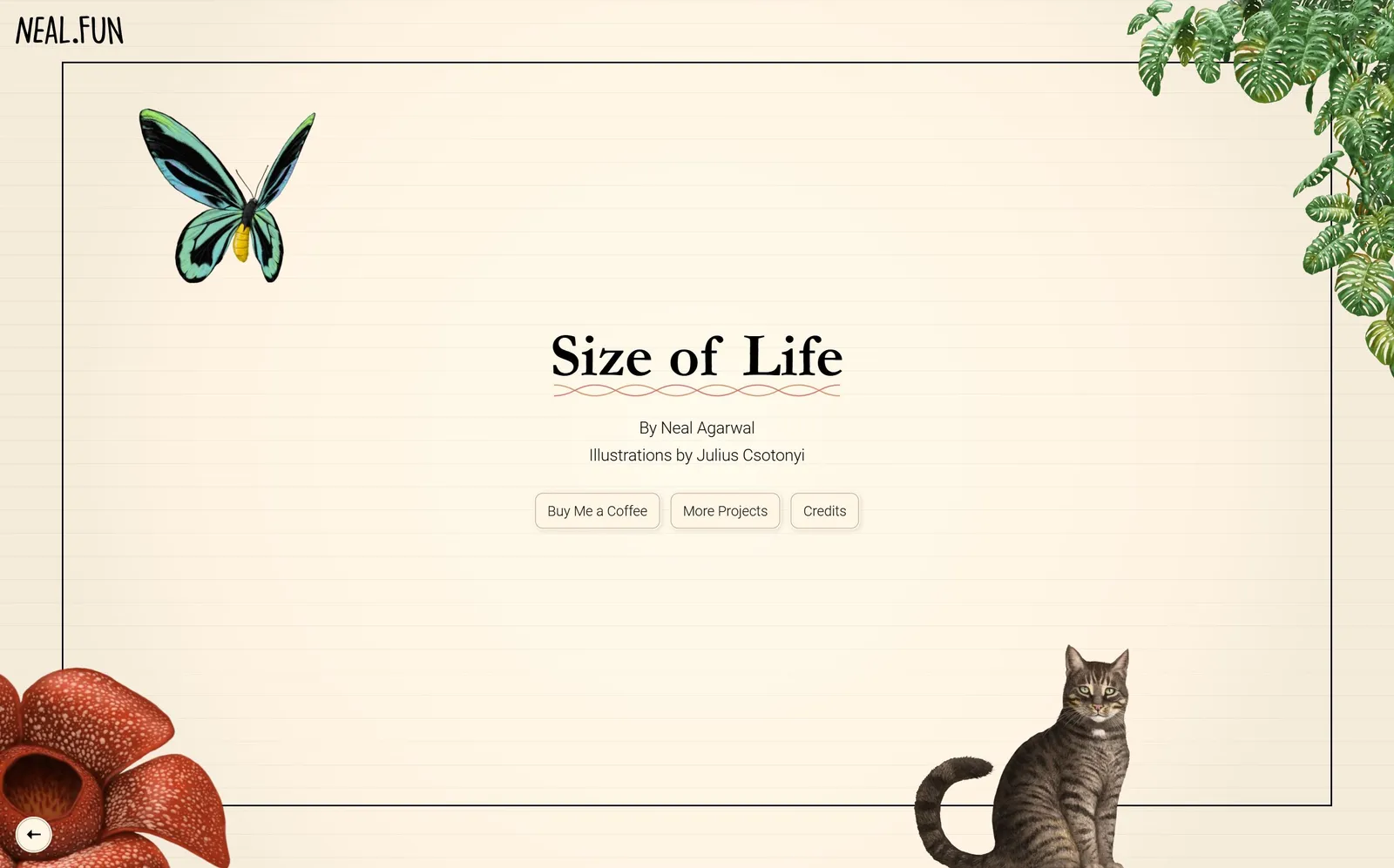 Size of Life