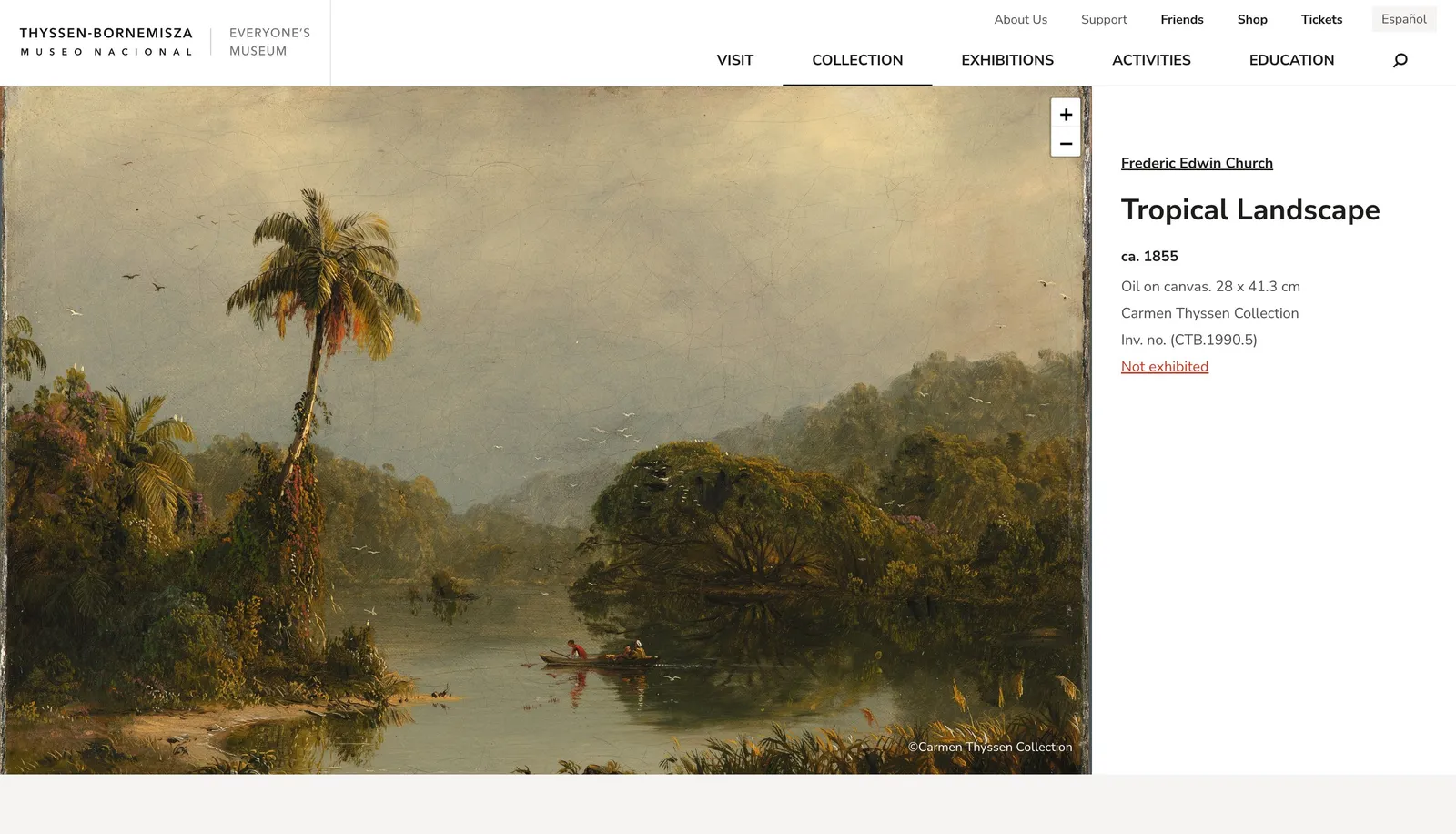 Tropical Landscape